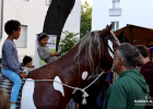 25-09-12-Harzer-Kiezfest-008